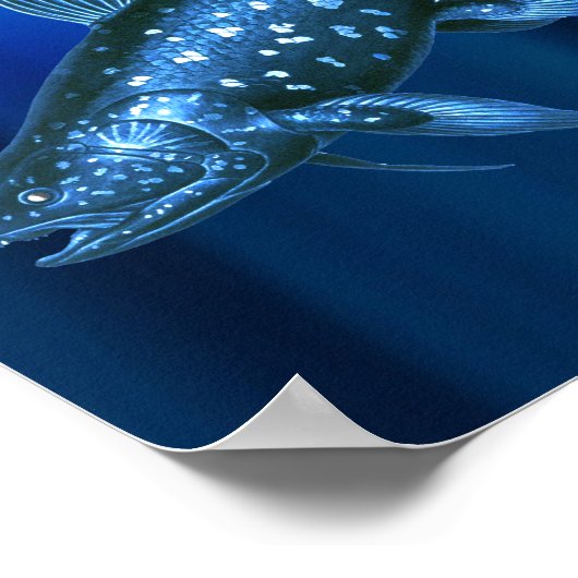 Poster Coelacanth (Coin)