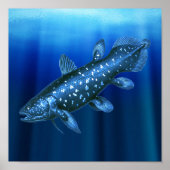Poster Coelacanth (Devant)