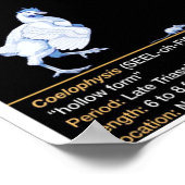 Poster Coelophysis - Biology Jurassic (Coin)