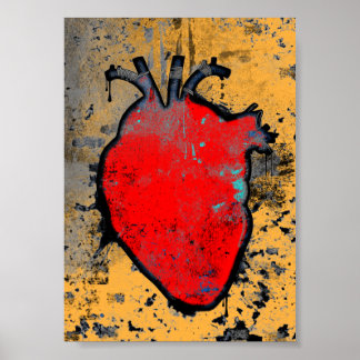 Poster coeur anatomique