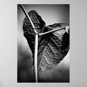 Poster cœur crucifié