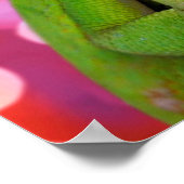 Poster Cœur de Caméléon (Amour toi) (Coin)