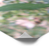 Poster Coeur en Rose (Coin)