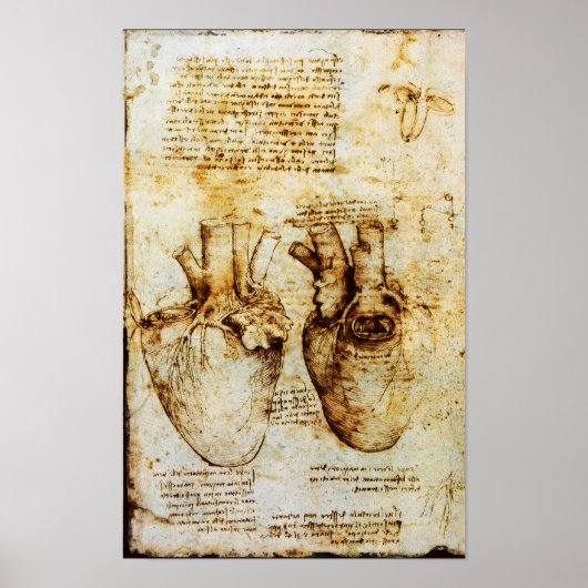 Poster Coeur Et Ses Bateaux De Sang (Devant)