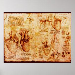 Poster Coeur Et Ses Vaisseaux De Sang, Toile Brown
