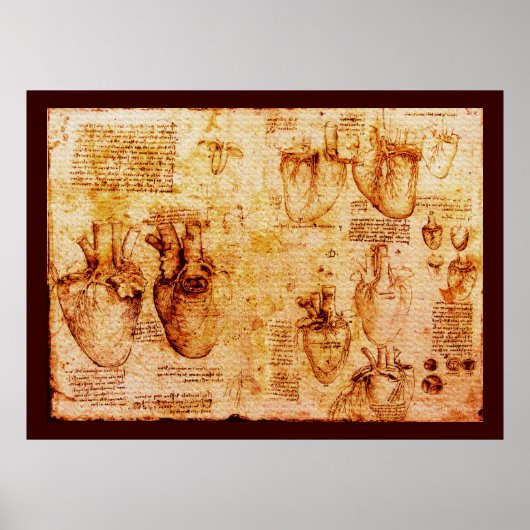 Poster Coeur Et Ses Vaisseaux De Sang, Toile Brown (Devant)