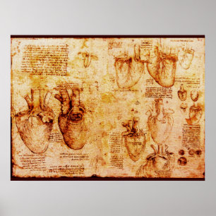 Poster Cœur et ses vaisseaux sanguins, toile marron