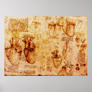 Poster Coeur Et Ses Vaisseaux Sanitaires, Brown
