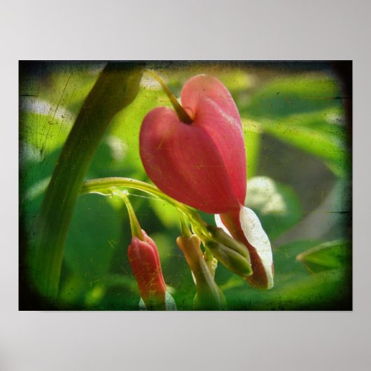 Poster Coeur saignant (Devant)