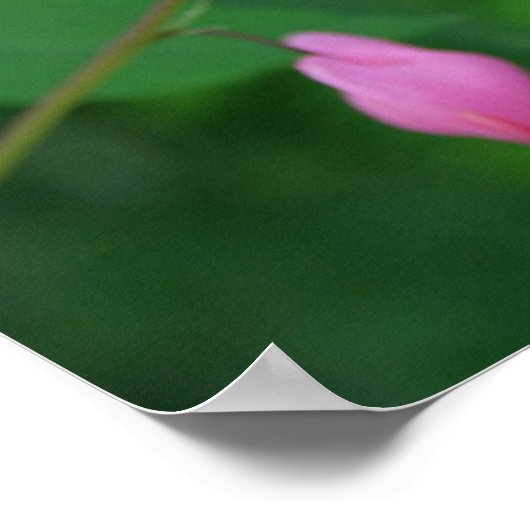 Poster Coeur saignant (Coin)