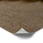 Poster Coeur Saint Valentin fait avec des coquilles (Coin)