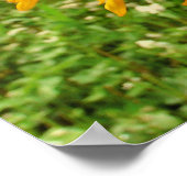 Poster Coeur sauvage, Fleurs de soleil, Imprimantes (Coin)