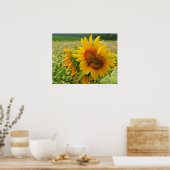 Poster Coeur sauvage, Fleurs de soleil, Imprimantes (Cuisine)