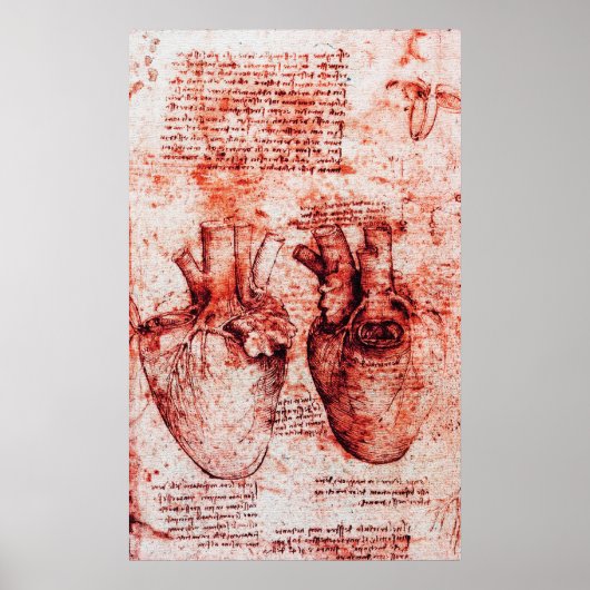 Poster Coeur, Ses vaisseaux sanguins, Léonard De Vinci Ro (Devant)