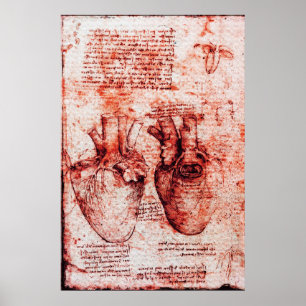 Poster Cœur, Ses vaisseaux sanguins, Léonard de Vinci Rou