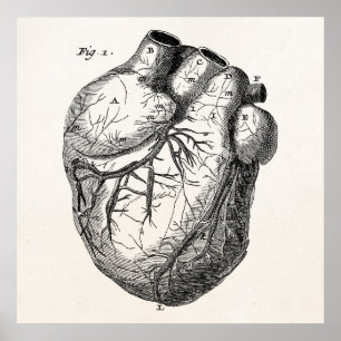 Poster Coeurs cardiaques rétro Cardiac des années 1800 vi