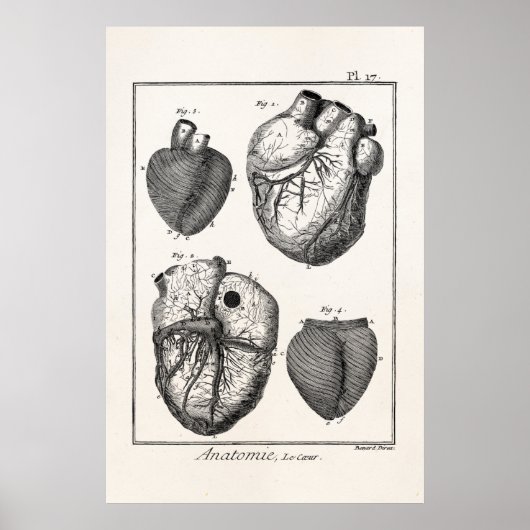 Poster Coeurs cardiaques rétro Cardiac des années 1800 vi (Devant)