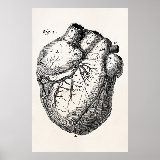 Poster Coeurs cardiaques rétro Cardiac des années 1800 vi (Devant)