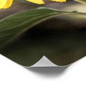 Poster Coeurs de tournesol amoureux (Coin)