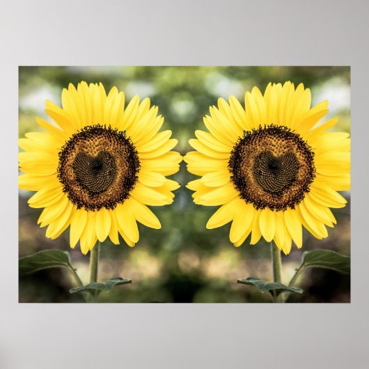 Poster Coeurs de tournesol amoureux (Devant)