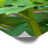 Poster Coeurs toxiques (Coin)