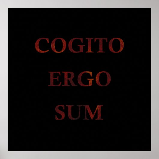 Poster Cogito (Devant)