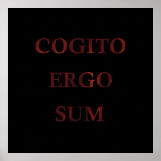 Poster Cogito ergo sum (Devant)