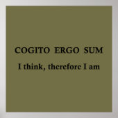 Poster cogito ergo sum, expression latine (Devant)