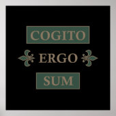 Poster cogito ergo sum, expression latine (Devant)