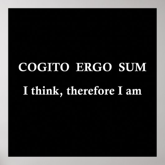 Poster cogito ergo sum, expression latine (Devant)