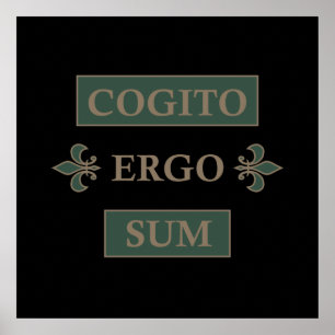 Poster cogito ergo sum, phrase latine