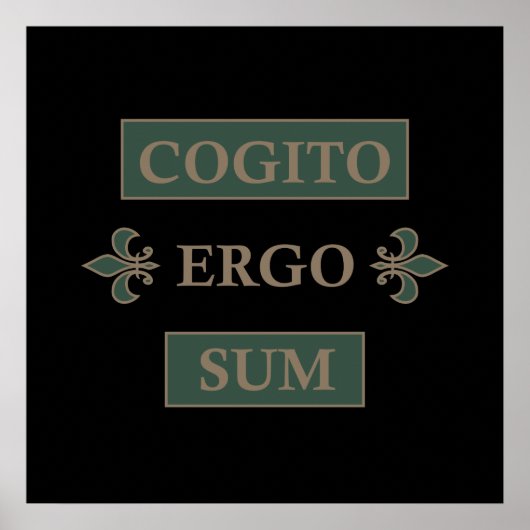 Poster cogito ergo sum, phrase latine (Devant)