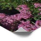 Poster Coit Tower San Francisco (Coin)