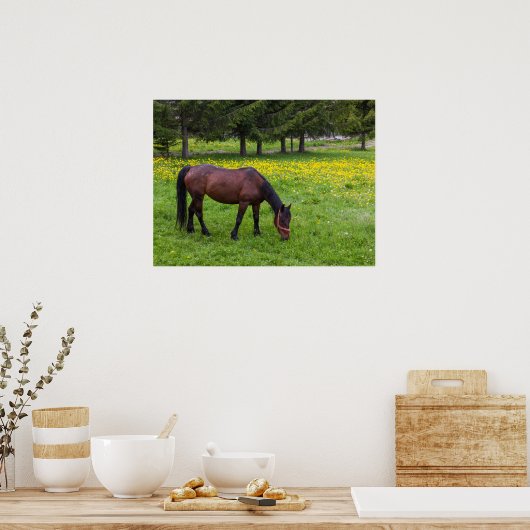 Poster Col Tihuta, Cheval dans le Pasture (Cuisine)