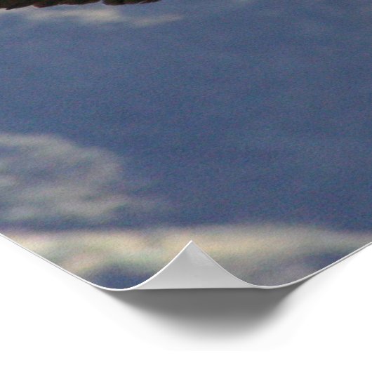 Poster Colca Canyon Condor (Coin)