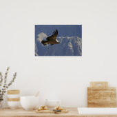 Poster Colca Canyon Condor (Cuisine)