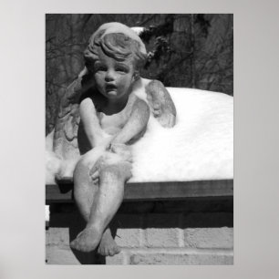 Poster Cold Angel