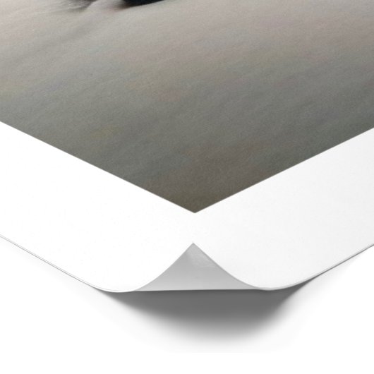 Poster Cold River (Coin)