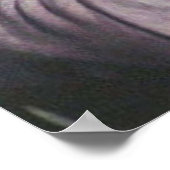 Poster Cole Sprouse (Coin)