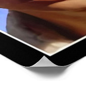 Poster Cole Sprouse 90_sVintage (Coin)