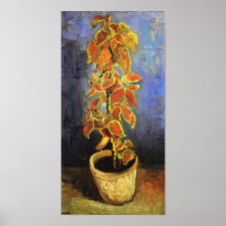 Poster Coleus Plante dans un pot de fleurs Van Gogh Art