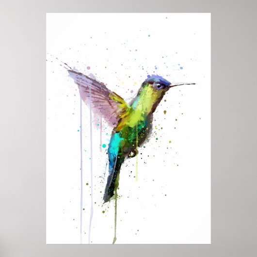 Poster Colibri (Devant)