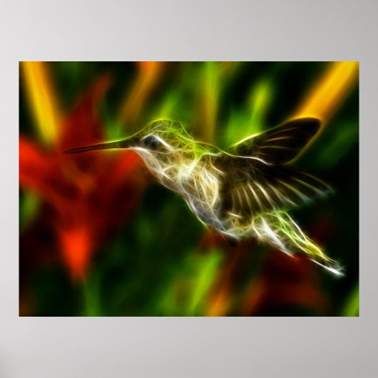 Poster Colibri (Devant)