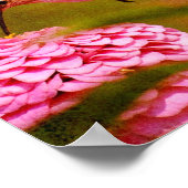 Poster Colibri (Coin)