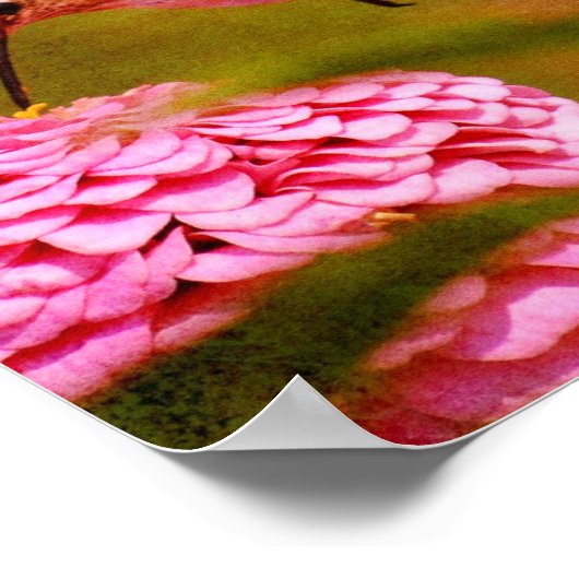 Poster Colibri (Coin)