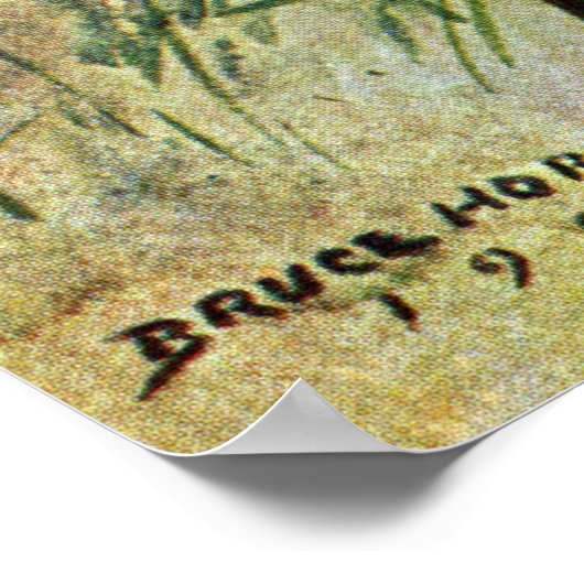 Poster Colibri (Coin)