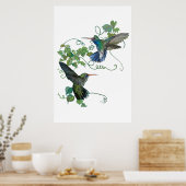 Poster Colibri (Cuisine)