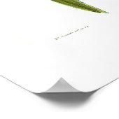 Poster Colibri (Coin)