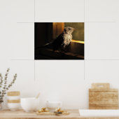 Poster Colibri (Cuisine)