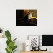 Poster Colibri (Bureau à domicile)